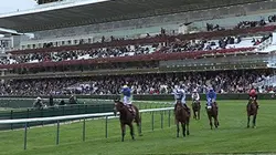 Visuel de Le prix de l'Arc de Triomphe, tout un monde