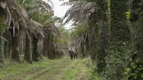 Le prix de la trahison S01E15
