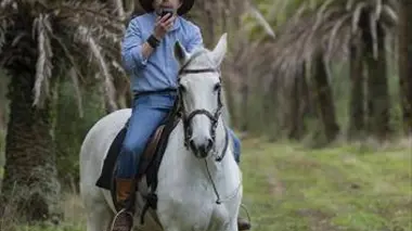 Le prix de la trahison