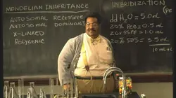 Sur 6ter à 21h10 : Le professeur Foldingue