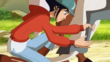 Les différences entre les chevaux