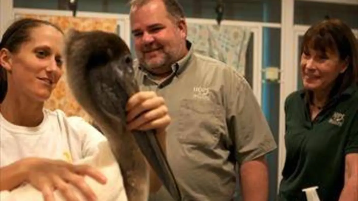 Le refuge de l'espoir E03 Le temps de la guérison