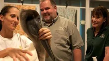 Le temps de la guérison