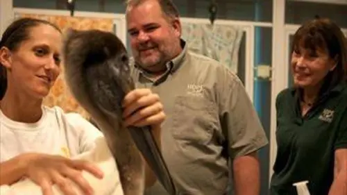 Casting Le refuge de l'espoir E03 Le temps de la guérison