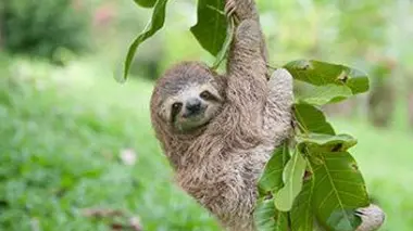 Rencontre avec les animaux