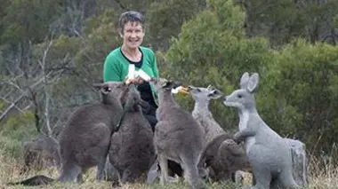 Retour à la liberté