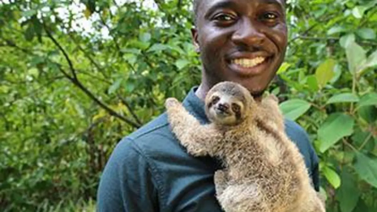 Le refuge des orphelins sauvages S02E02 Monster le paresseux et les félins d'Afrique