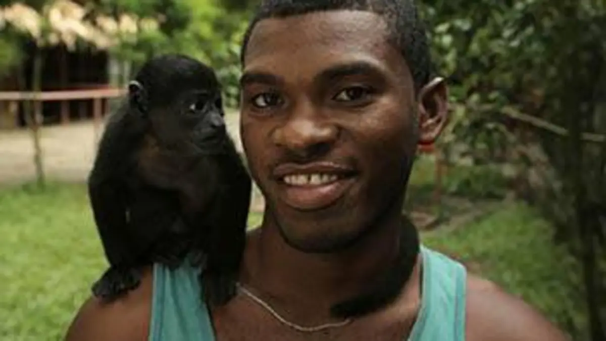Le refuge des orphelins sauvages S02E03 Santino le singe hurleur et Shelley le guépard