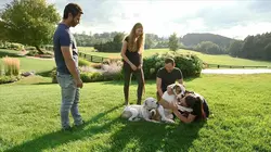 Le refuge Dog Tales  S02E07