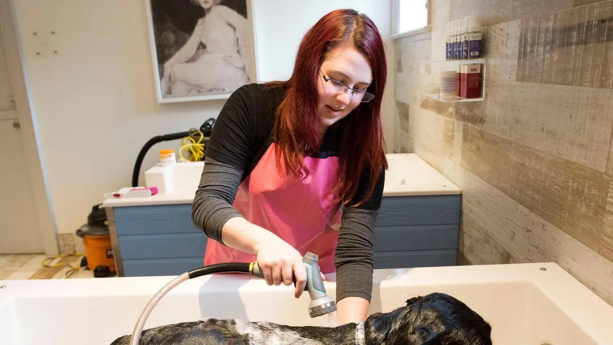 Le refuge Dog Tales S01E03 Bibi, Marge et Trigger