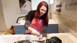 Le refuge Dog Tales S01E03 Bibi, Marge et Trigger