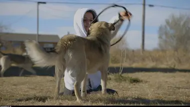 Le refuge Dog Tales S02E01