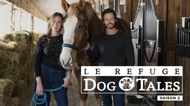 Le refuge Dog Tales S02E07