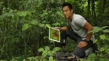 Maîtres de la guerre