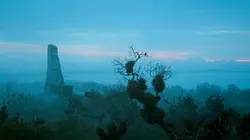 Le règne des Incas et des Mayas