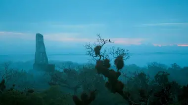 Le règne des Incas et des Mayas Maîtres de l'innovation