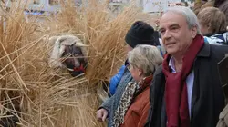 Le Renard S38E03 Le mal costumé