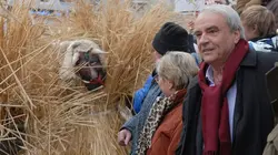 Le Renard S38E03 Le mal costumé