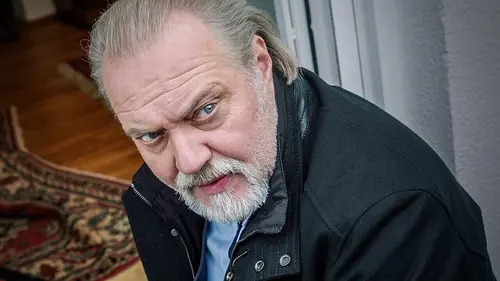 Le Renard Bébés secoués