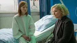 Le Renard Des liens toxiques