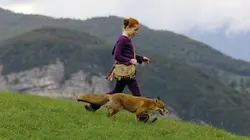 Le renard et l'enfant