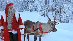 Visuel de Le renne après l'eden