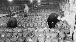 Le réseau financier secret d'Hitler Le business de la guerre