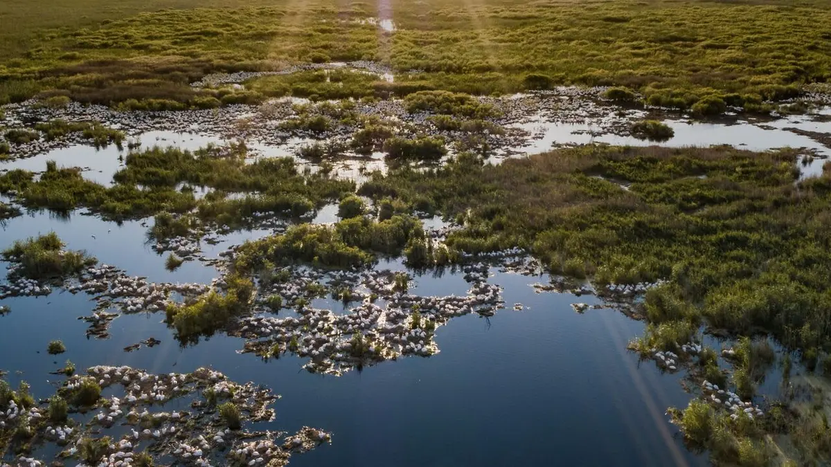 Le retour de l'Europe sauvage Le delta du Danube