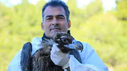 Visuel de Le retour de l'Europe sauvage