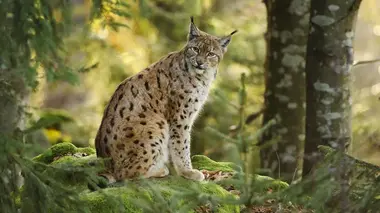 Péninsule Ibérique