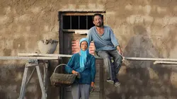 Le retour des hirondelles