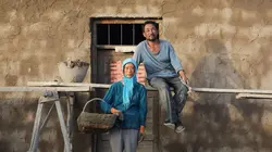 Le retour des hirondelles