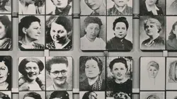 Le retour des résistantes