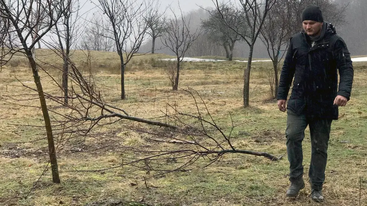 Le retour du bison : Est-il le bienvenu ?