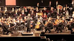 Visuel de Le rêve d'un chef : l'Orchestre des Roms et Sintis