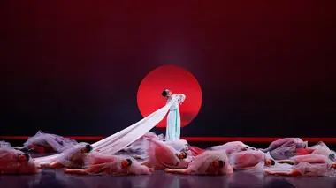 Le Rêve dans le pavillon rouge : Ballet National Chine