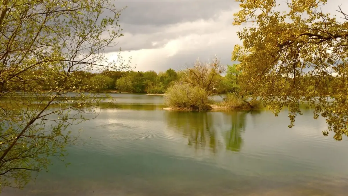 Le Rhin vu du ciel Le Rhin vert