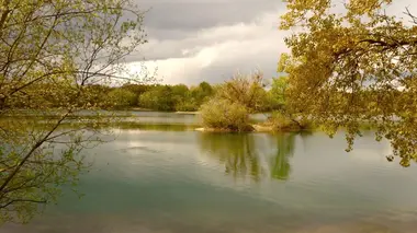 Le Rhin vert
