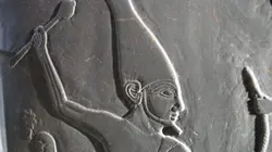 Visuel de Le roi scorpion