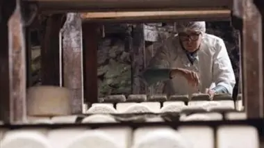 Le roquefort, tout un fromage !