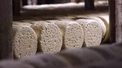 Le roquefort, tout un fromage !