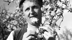 Visuel de Le rosier de madame Husson