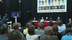 Le Roundup face à ses juges