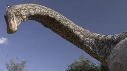 Le royaume des dinosaures E01 Les gagnants de l'évolution