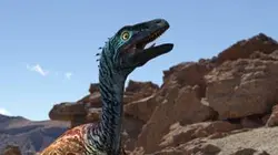 Visuel de Le royaume des dinosaures