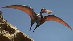 Visuel de Le royaume des dinosaures