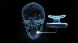 Le royaume des momies égyptiennes Le sarcophage solitaire