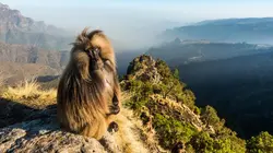 Programme ce soir sur France 5