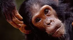 Visuel de National Geographic
