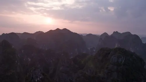 Le royaume secret des singes